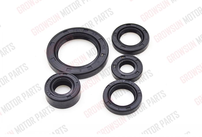 GN125 OIL SEAL