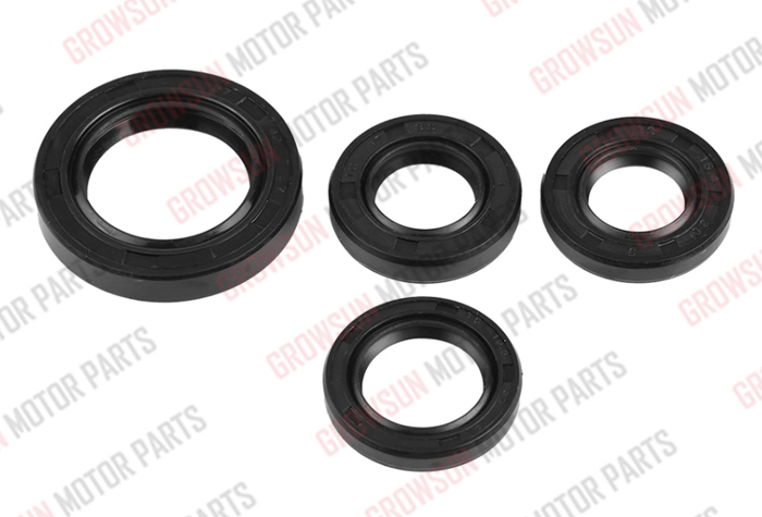 GY6 50 OIL SEAL SET