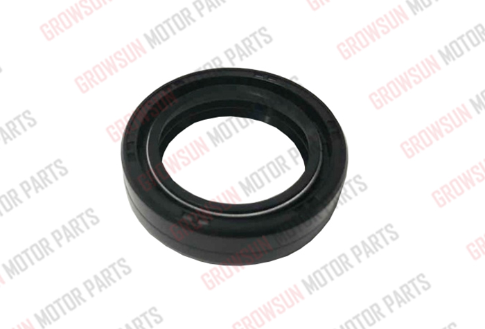 DS150 SUSPENSION SEAL