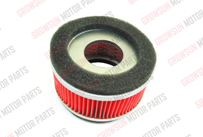 DS150 AIR FILTER
